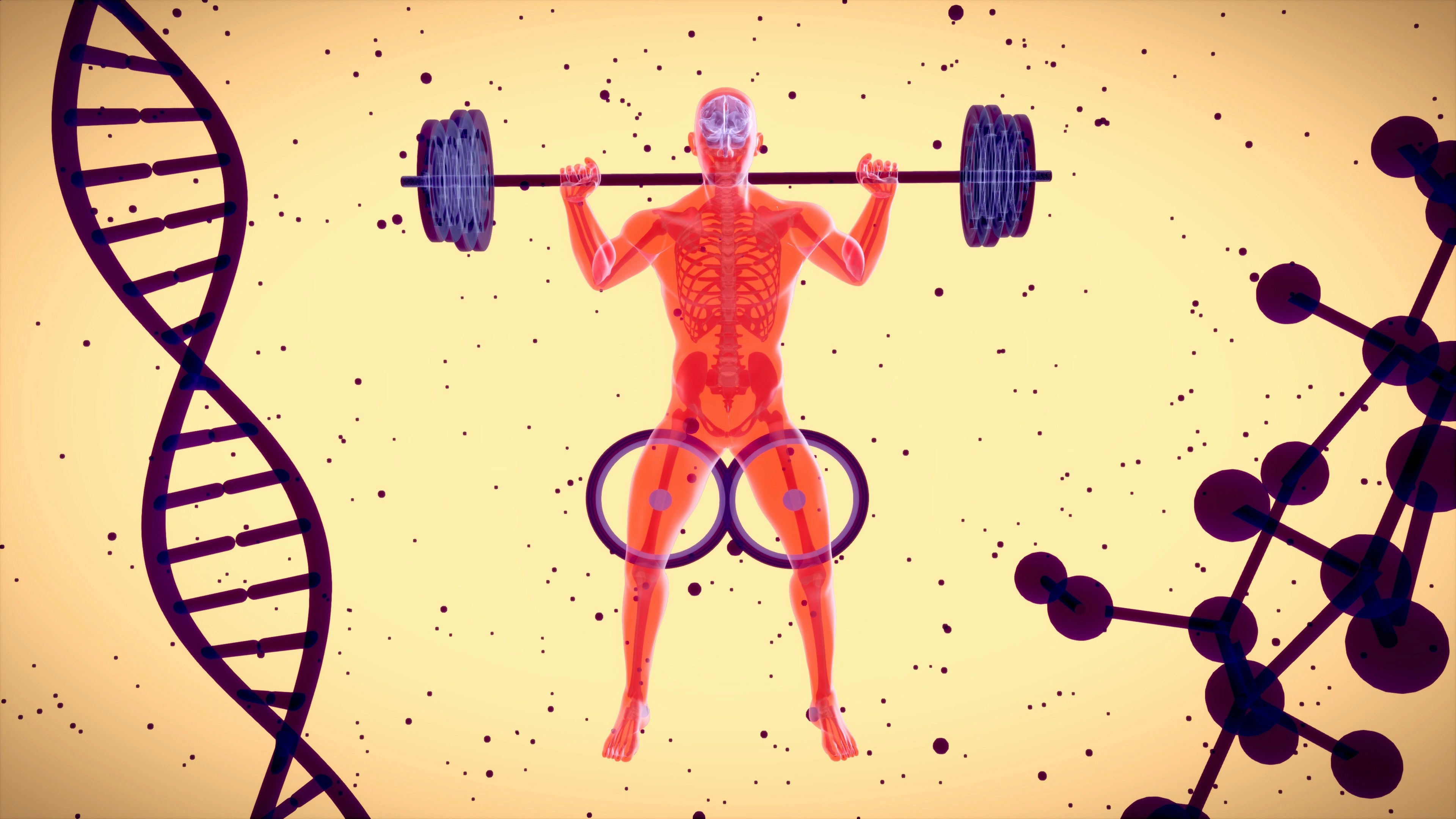 Man lifting a barbell in a gym